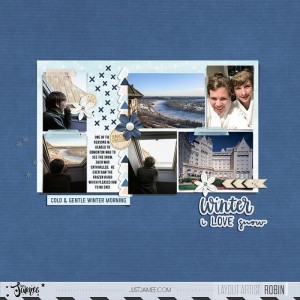 Robin_Snow-Fun-TLP