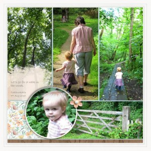 A Walk in the Woods