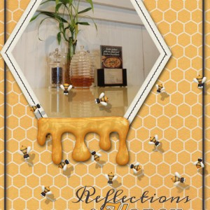 January-19-Photography-Challenge-(Reflection)-Reflections-of-Honey