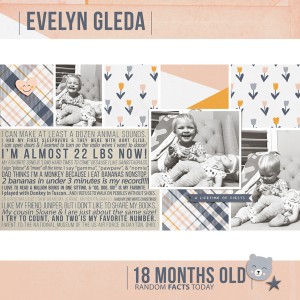 Evelyn 18 Months