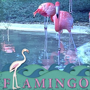 Jan-19---Photography-Challenge-Reflection (Flamingo)