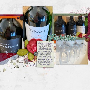 Wine Favorites - Day 19
