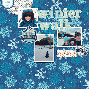 MOC 7 Jan 16 - Winter Walk