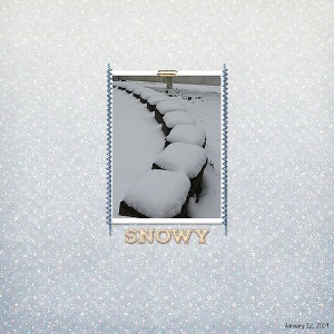 19.01 Snowy