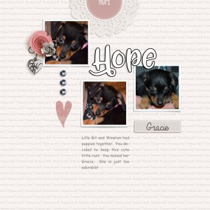 HOPE_MOC-day-16