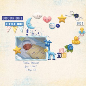 January 18-Elements On A Path {Goodnight Little One}