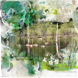 MOC7 January 19: Photography Challenge Reflection - Mecklenburg Park