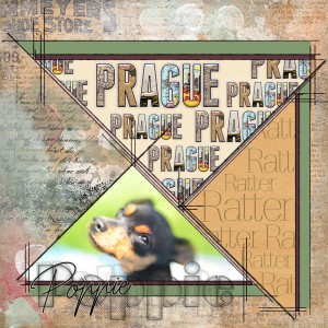MOC 7 - 10 Shaped Alpha Designs - Prague Ratter