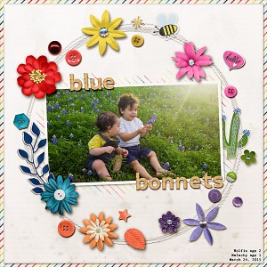 Jan. 17: Blue Bonnets