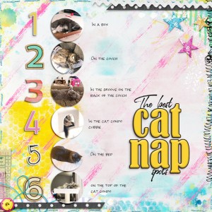 MOC21_List_CatNapping-copy