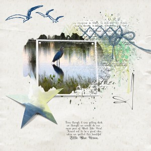 Blue-heron-LP-19