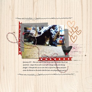 Sugar Pie -  January 2: Depth of Field