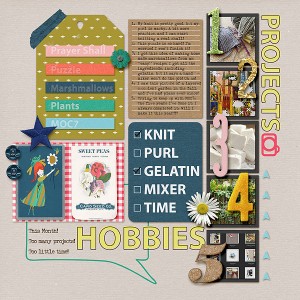Projects & Hobbies