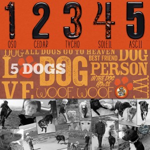 MOC 7.21: List (5 Dogs)