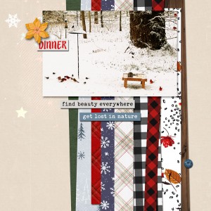 2019-MOC#23_Paper-Strips_web