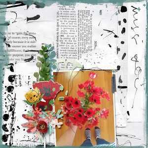 Poppies