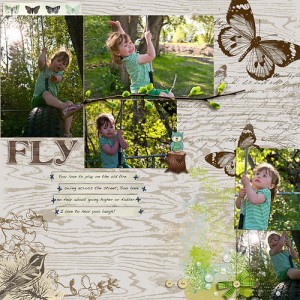 Fly