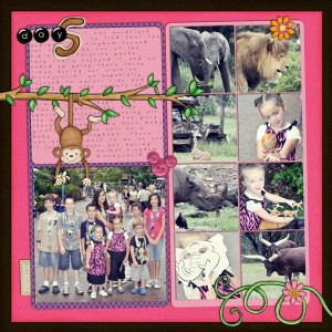 animal kingdom - day 5