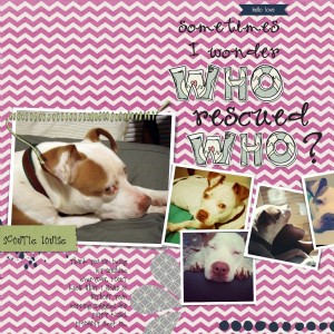 who rescued who?