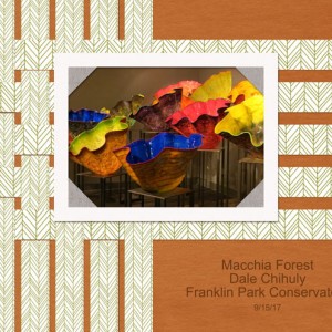 January 23: Playing with Paper Strips - Macchia-Forest