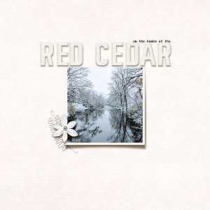 Jan. 19: Red Cedar