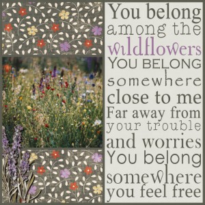 Wildflowers