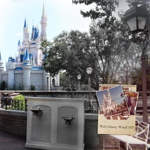 Disney 1977 & Disney 2015