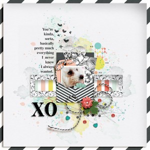 XO