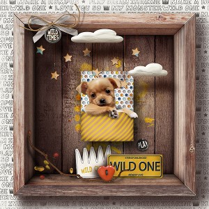 Wild One