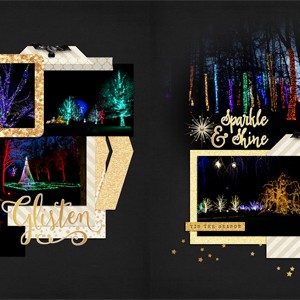 Longwood Gardens - Tree lights