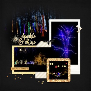 Longwood Gardens - Tree lights_right