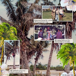 25_PhotoasBackground_Lautoka2