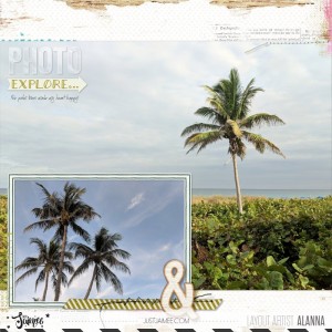 Palm trees!