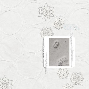 Footprints in the snow (Day 9)