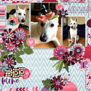 Bee Mine (Barkbox corsage)