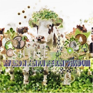 MOC7-Day25-Use Photo As Background-Herd Stand-Out