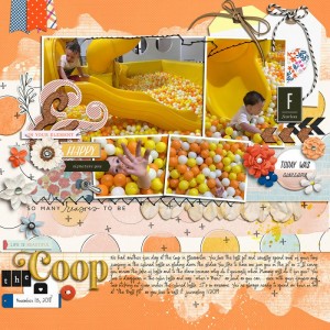 TheCoopJan2019FDDfs43