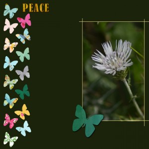 Day-27--15+1