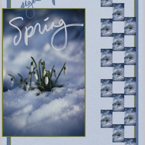 January-27-Big-and-Smalls-Challenge-signs-of-Spring