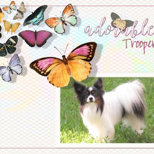 January 27: Big and Smalls - Adorable-Trooper