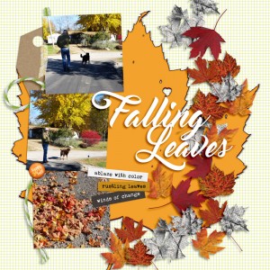 Falling-leaves
