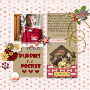 18.03 Puppies In A Pocket - Kendra