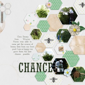 Chance