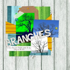Branches - Moc 26