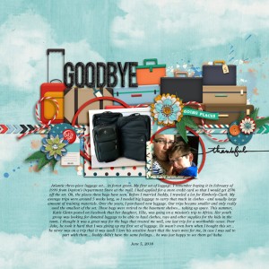 goodbye trusted luggage