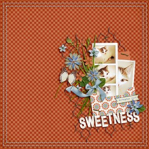 sweetness