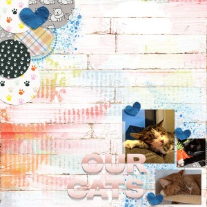 Our Cats (Day 28)