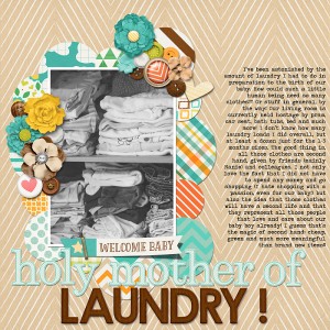Holy Mother of Laundry