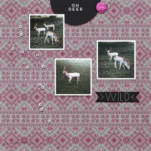 Oh Deer
