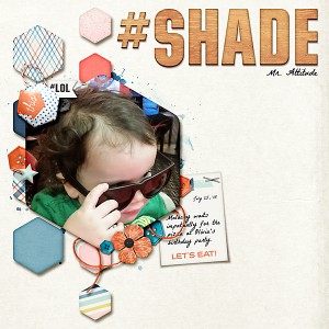 Jan. 27: Shade
